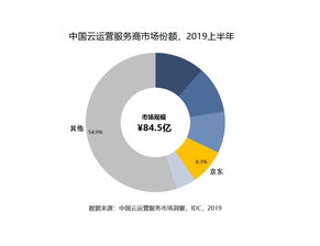 IDC 2019年上半年中国云运营服务市场洞察 京东云位列第一梯队，运营服务成核心竞争力